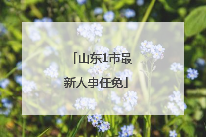山东1市最新人事任免
